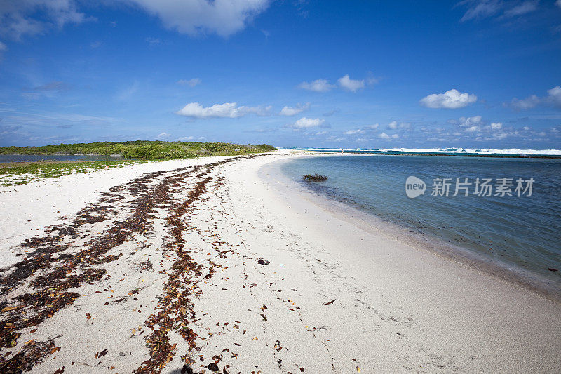 瓜达罗普岛 La Pointe des Chateaux 的加勒比海滩